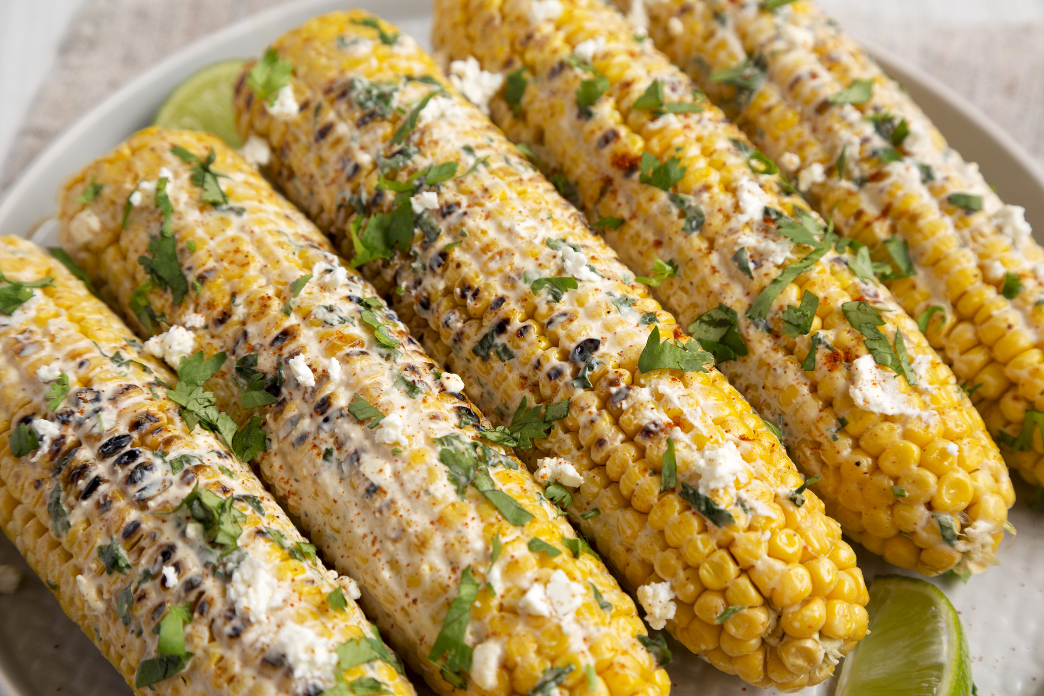 Elotes Elotes