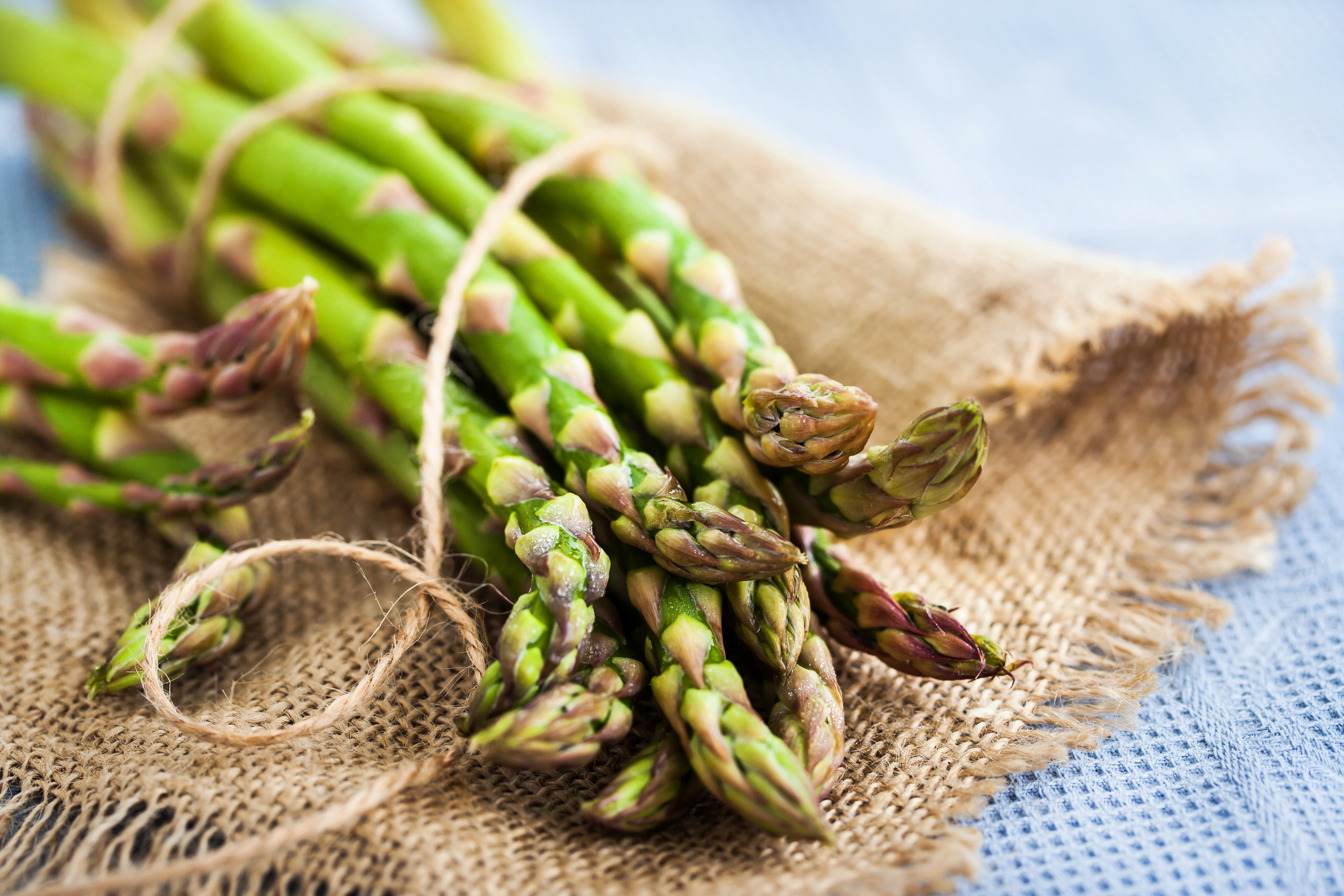 asparagus bundle asparagus bundle